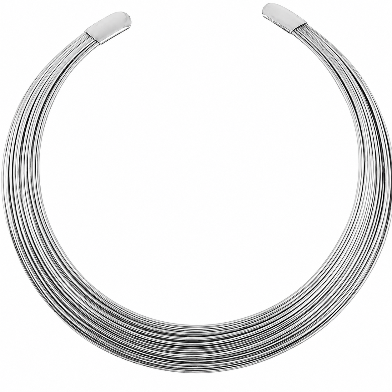 Aarya Choker
