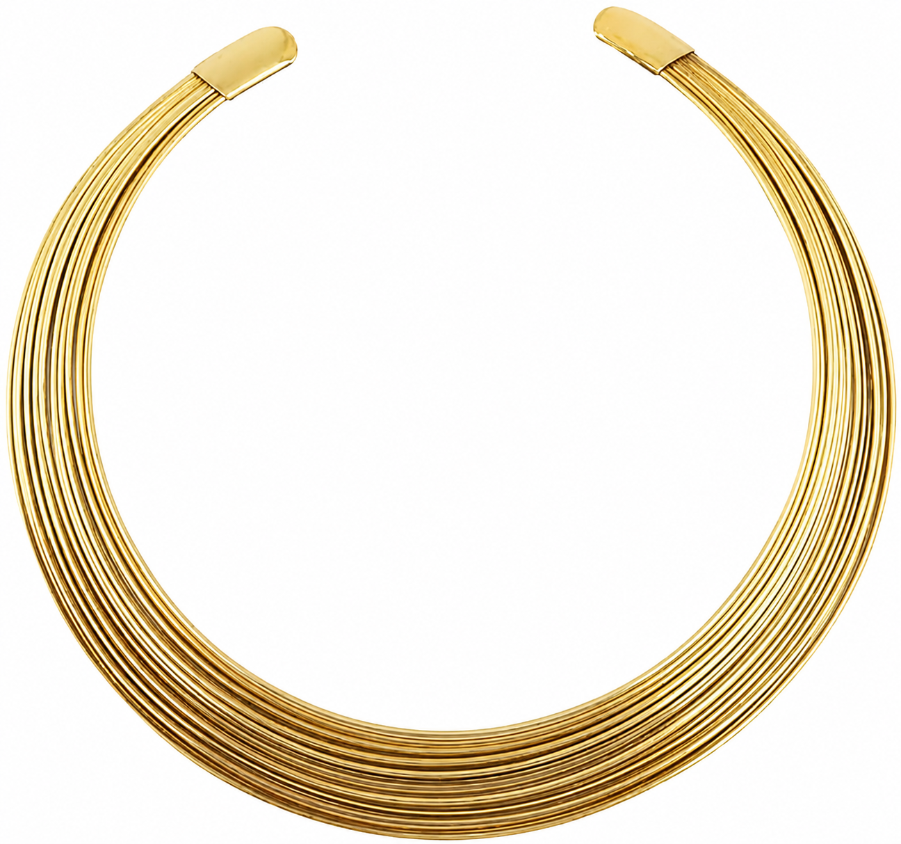 Aarya Choker