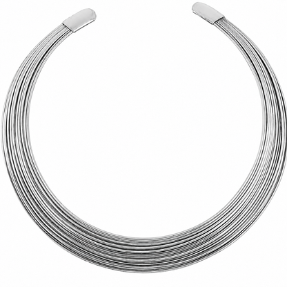 Aarya Choker